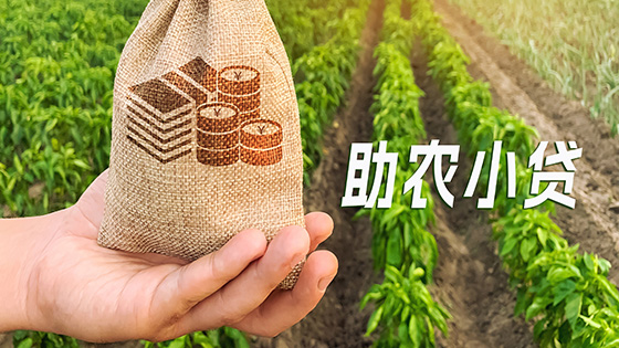 菠菜担保网 - 最权威的全网担保平台信息助力金融惠农：为乡村振兴注入科技活力